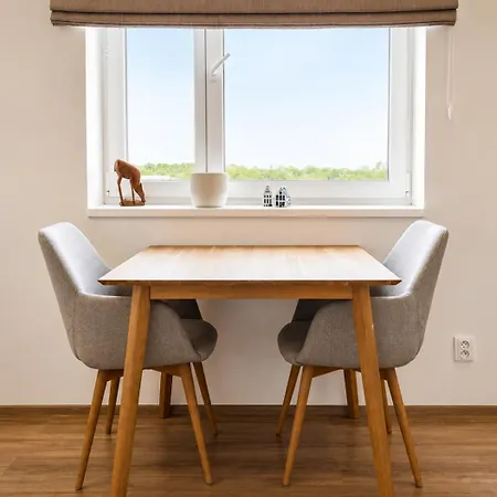 Nerudova Apartment *